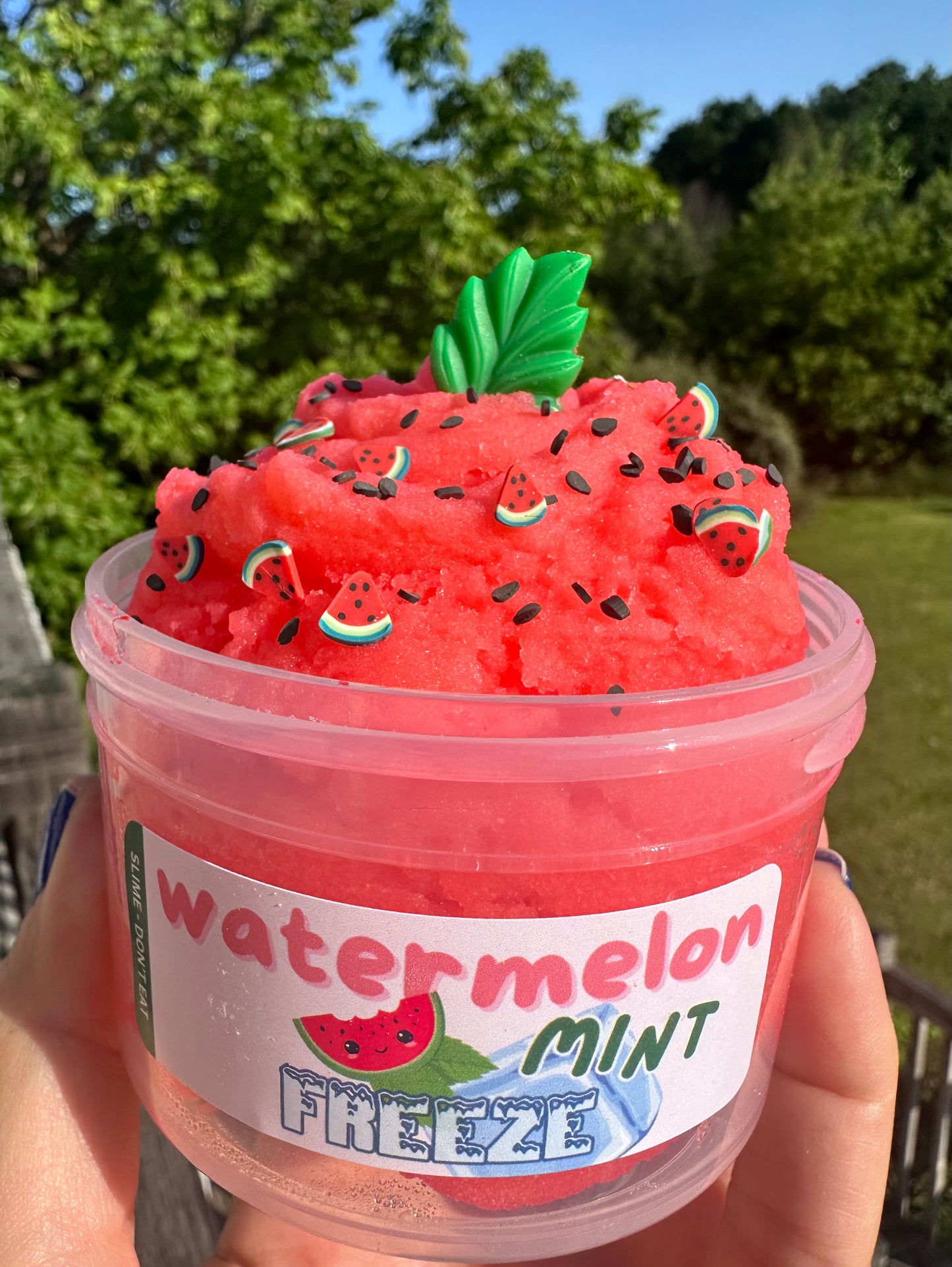 Watermelon Mint Freeze - Icee Slime